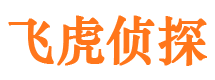 广陵市侦探公司